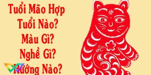 tuoi-mao-hop-mau-gi-tim-hieu-ve-tuoi-mao-1